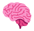 cerveau cerveau